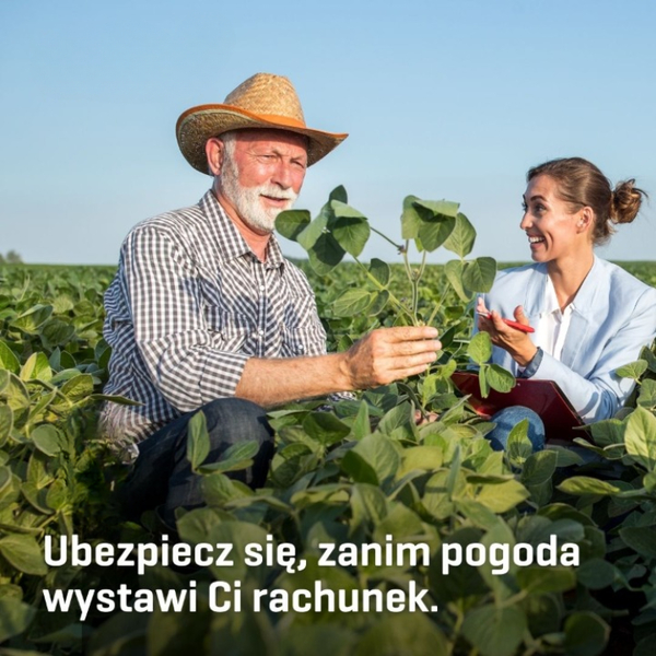 Zdjęcie na okładce dla STASIEŁOWICZ Jan. Agencja ubezpieczeniowa